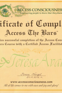 20121124_1002_practitioner_Access_Consciousness_TeresaMangel_ENG